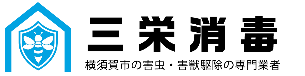 三栄消毒